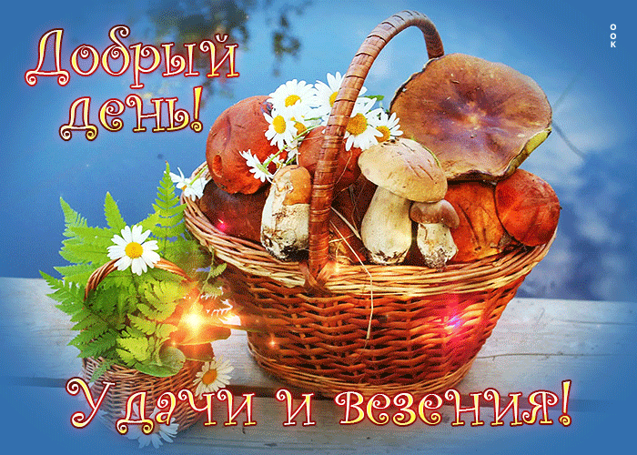 Postcard открытка с грибами добрый день! удачи и везения!