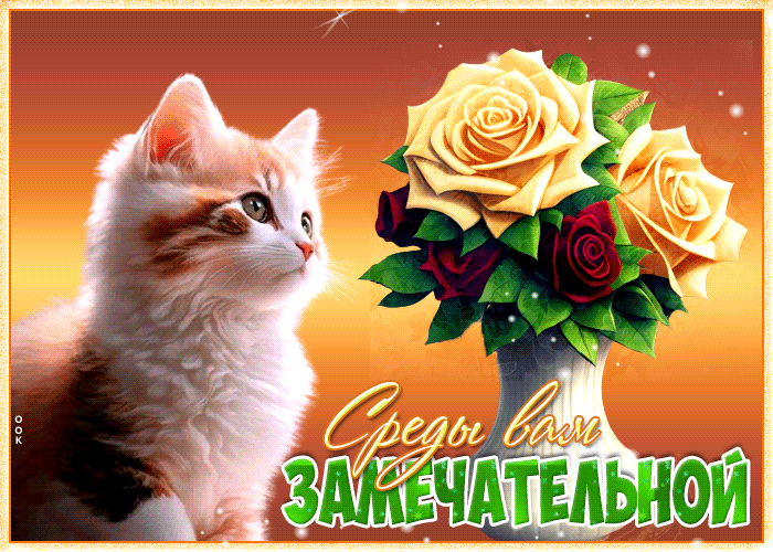 Picture открытка с котиком и розами среды вам замечательной