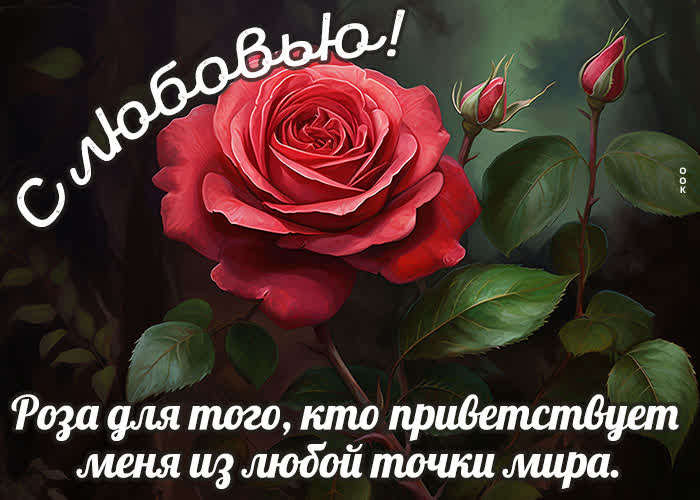 Picture открытка с красной розой с любовью