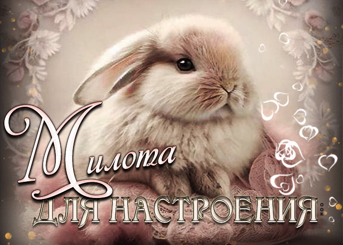 Picture открытка с кроликом милота для настроения