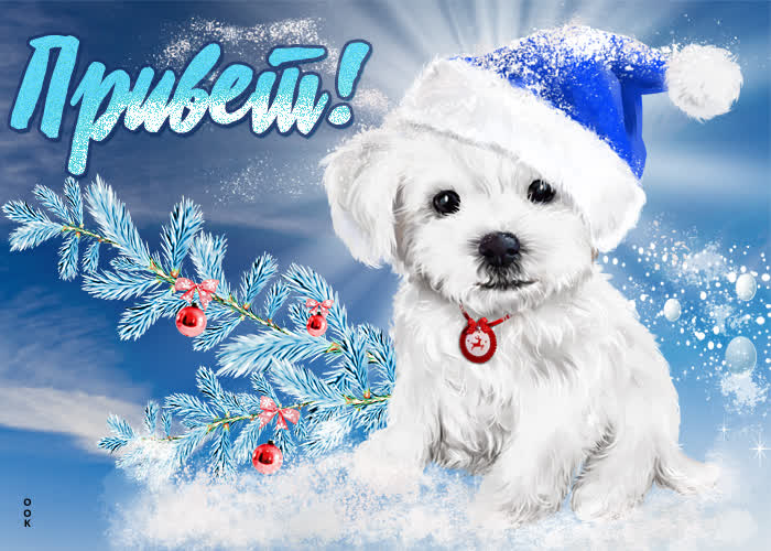 Открытка открытка с собачкой и зимой