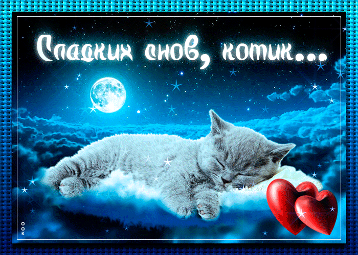 Открытка открытка сладких снов, котик