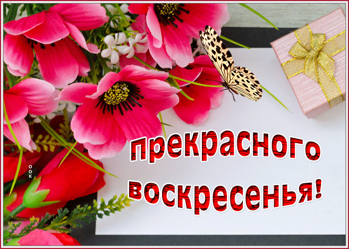Картинка открытка воскресенье с цветами