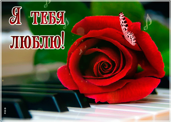 Картинка открытка я тебя люблю с розой