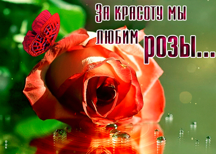 Картинка открытка за красоту мы любим розы