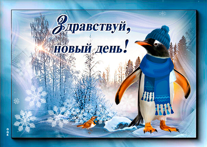 Доброго зимнего дня. Доброго зимнего дня и хорошего настроения. Зимнее настроение. Пожелания доброго зимнего дня.