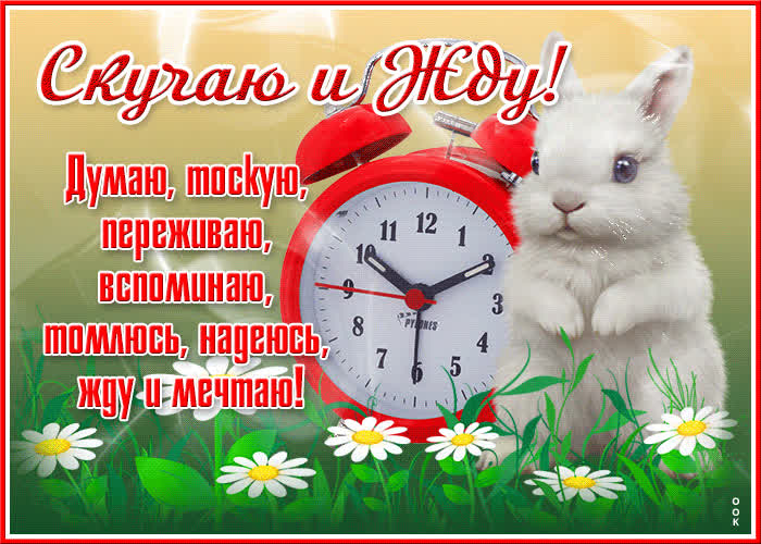 Открытка жду и мечтаю- Скачать бесплатно на otkritkiok.ru