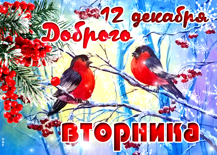 Picture открытки 12 декабря