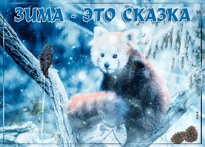 Картинка открытки с зимой с природой