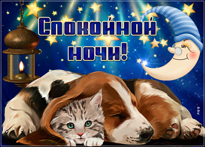 Картинка открытки спокойной ночи с животными
