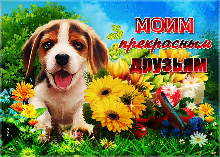 Отличная открытка Моим прекрасным друзьям - Скачать бесплатно на ...
