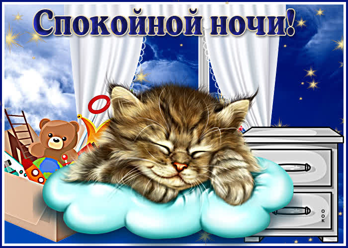 Postcard отличная картинка со спящим котенком спокойной ночи