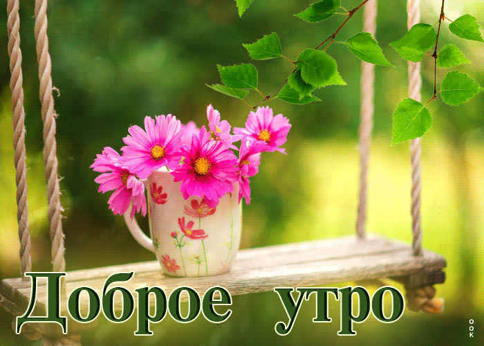 Picture отличная открытка с цветочками в чашке доброе утро