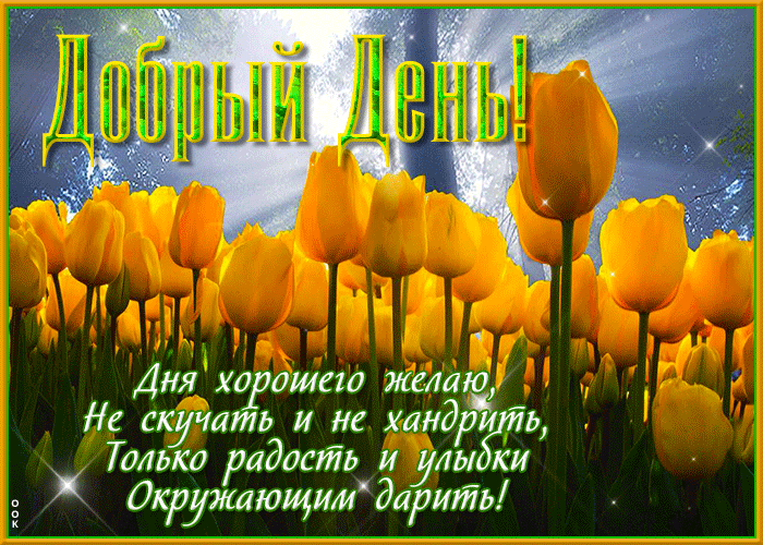 Postcard отличная открытка с тюльпанами дня хорошего желаю