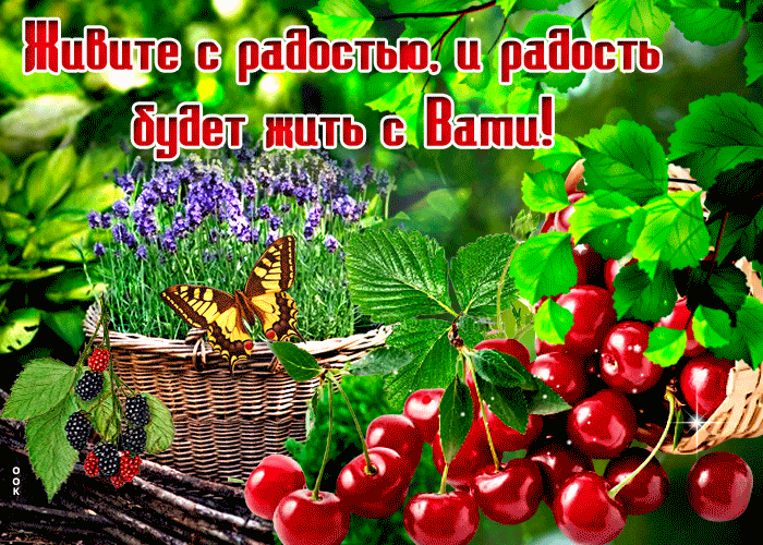 Postcard отличная открытка с ягодами живите с радостью!