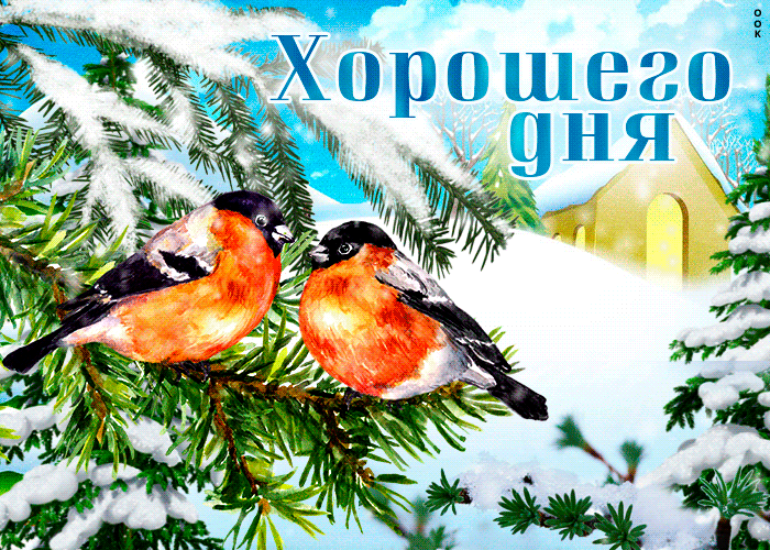 Picture первоклассная открытка с птичками хорошего дня