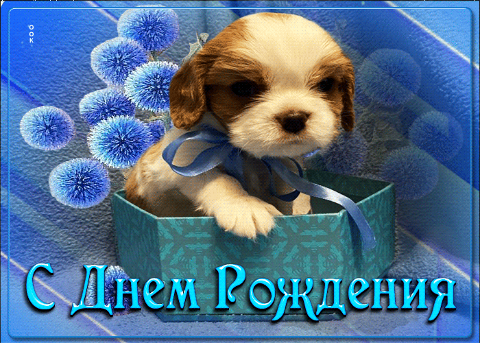 Picture пленительная и креативная гиф-открытка с щенком с днем рождения