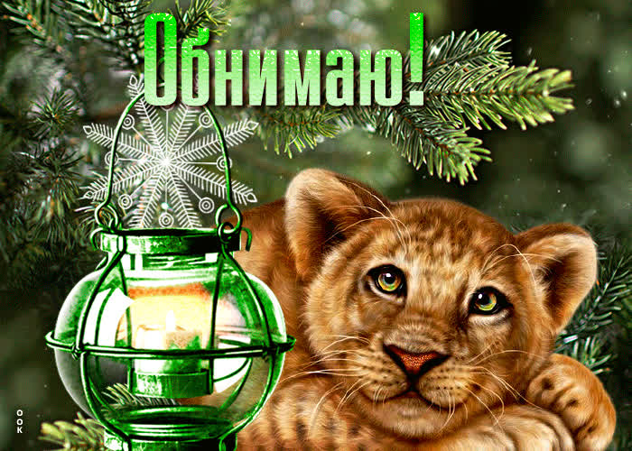 Потрясающая открытка обнимаю с тигренком- Скачать бесплатно на ...