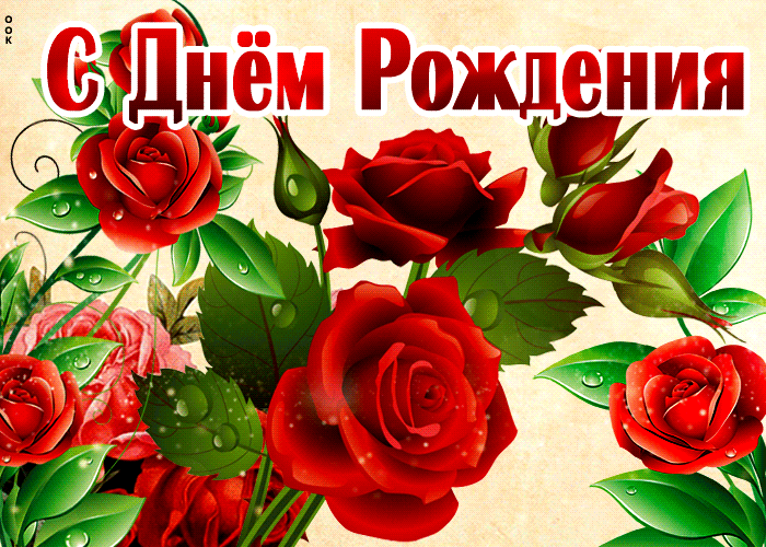 Картинка потрясающая открытка с розами женщине на день рождения
