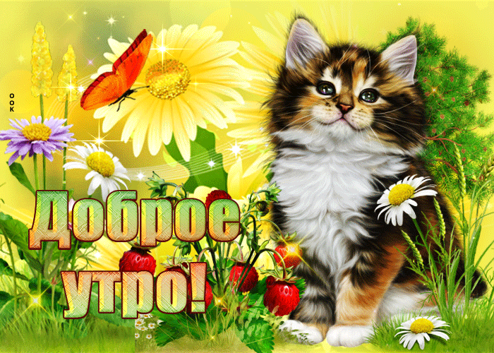 Picture потрясающая открытка доброе утро! с котом и цветами