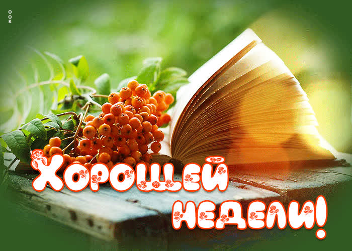 Потрясающая открытка с книгой Хорошей недели!- Скачать бесплатно на ...
