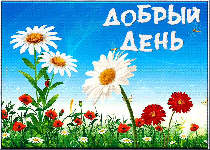 Picture потрясающая открытка с полевыми цветами добрый день