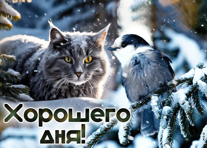 Postcard позитивная гиф-открытка с котом и птичкой хорошего дня
