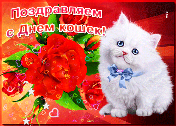 Картинки для поздравления с Всемирным днём кошек 1 марта