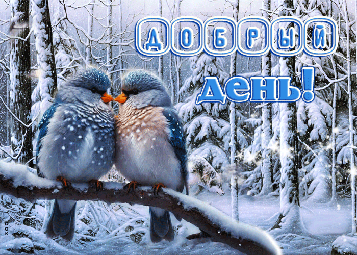 Picture прекрасная и элегантная гиф-открытка с птичками добрый день
