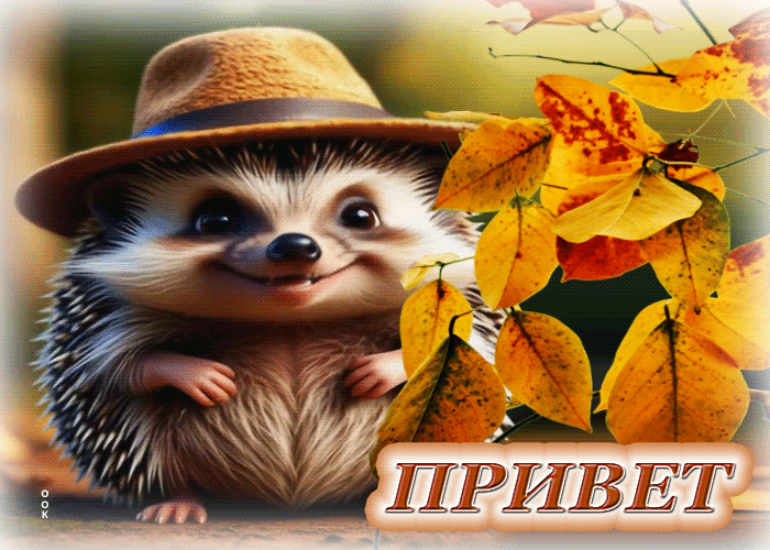 Postcard прекрасная осенняя гифка привет
