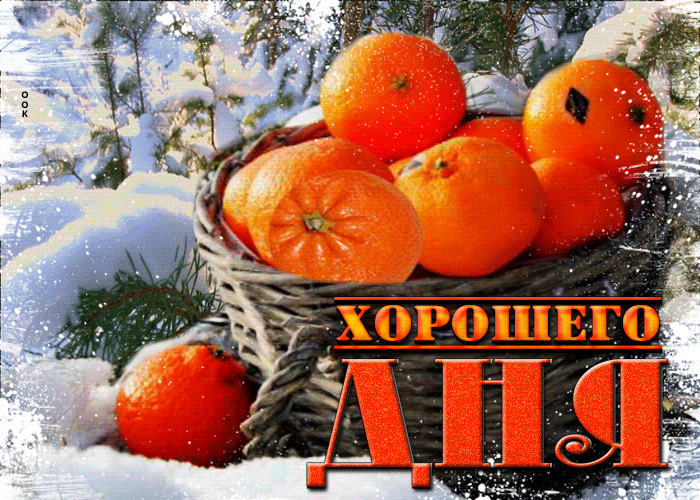 Открытка прекрасная открытка хорошего дня с апельсинами