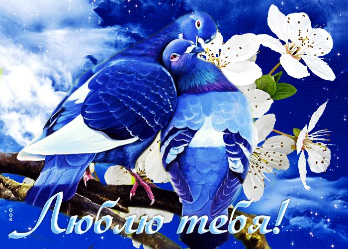 Postcard прекрасная открытка с голубками люблю тебя