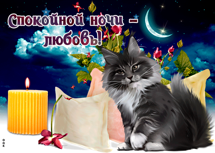 Picture прекрасная открытка с кошечкой спокойной ночи - любовь!