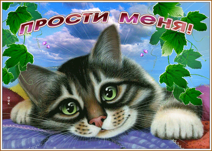 Картинка прекрасная открытка с кошкой прости меня