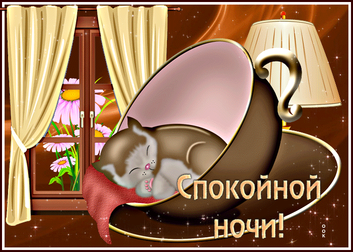 Picture прекрасная открытка с котом в чашке спокойной ночи