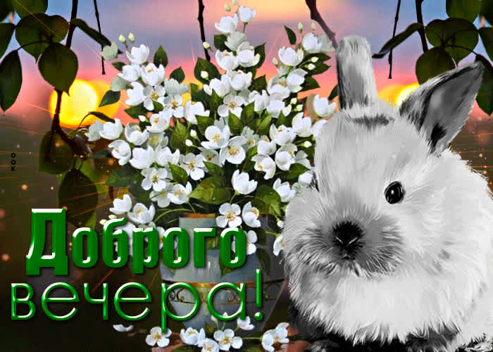 Картинка прекрасная открытка с кроликом, добрый вечер