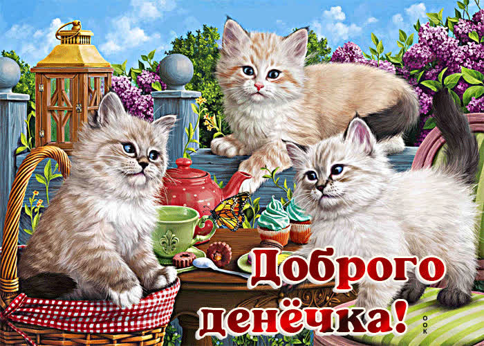 Postcard прекрасная открытка с тремя котиками доброго денечка