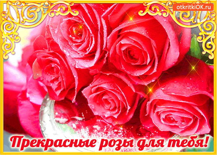 Картинка прекрасные розы только для тебя
