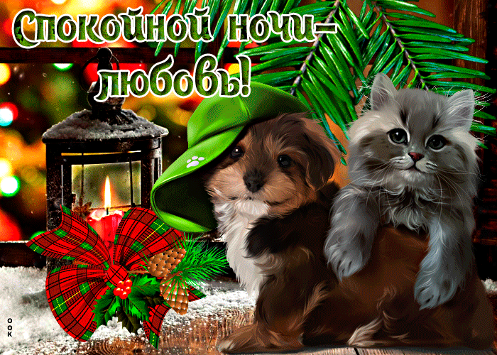 Picture прелестная открытка с котом и собакой спокойной ночи - любовь