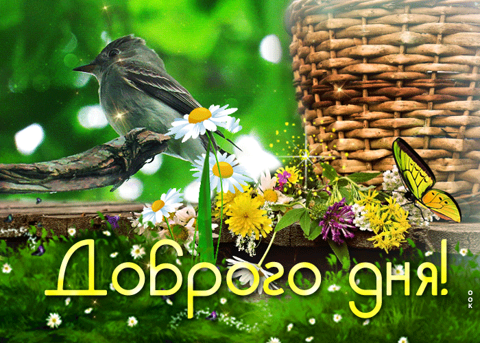 Picture превосходная открытка доброго дня! с цветами и птичкой