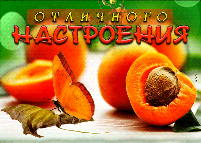 Postcard превосходная открытка с абрикосами отличного настроения