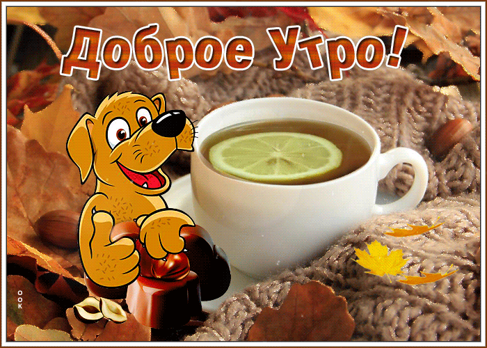 Postcard превосходная открытка с чаем и собачкой доброе утро