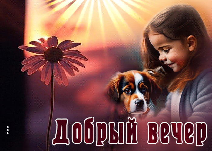 Picture превосходная открытка с девочкой и собакой добрый вечер
