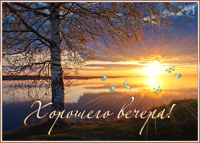 Добрый вечер с чаем и хороших вечерних фото