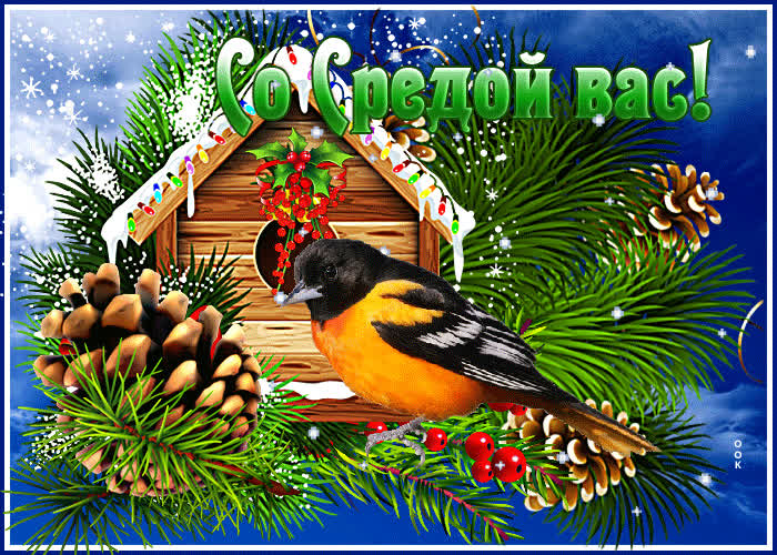 Postcard превосходная открытка с птицей со средой вас