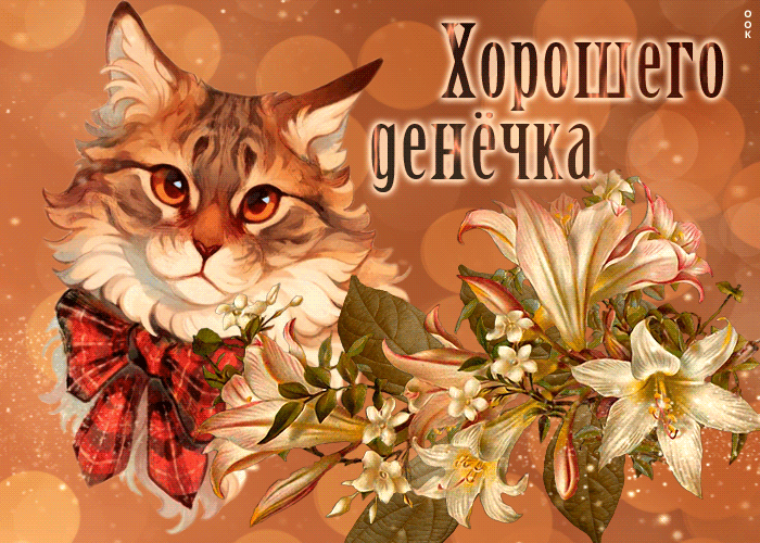 Picture превосходная открытка хорошего денечка! с котиком