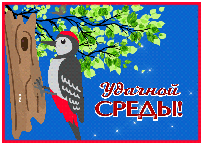 Postcard прикольная открытка с дятлом удачной среды!