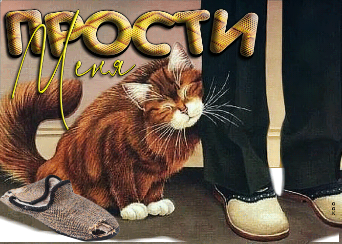 Picture прикольная открытка с котиком и тапочком прости меня