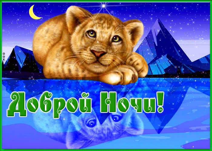 Postcard прикольная открытка с львенком доброй ночи!
