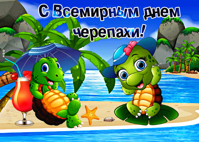 Картинка прикольная открытка  всемирный день черепахи